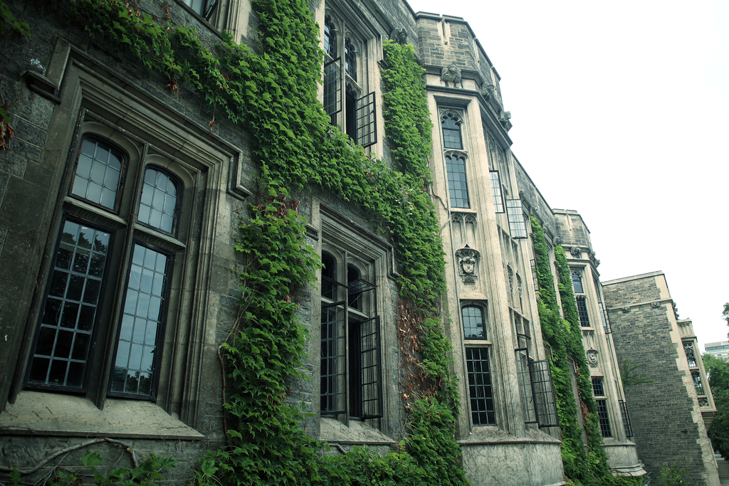 Picture of a building in the Gothic Revival style. It is covered in ivy.