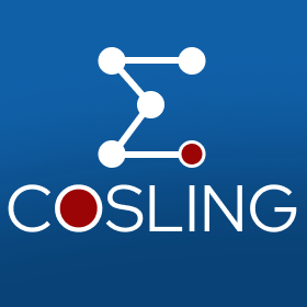 Cosling Constraint Solving